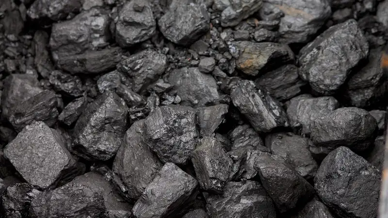 Попытка продать уголь обошлась жителю Акмолинской области в 745 тысяч тенге