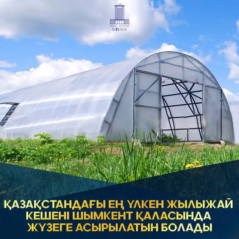 Самый большой тепличный комплекс в Казахстане будет реализован в Шымкенте