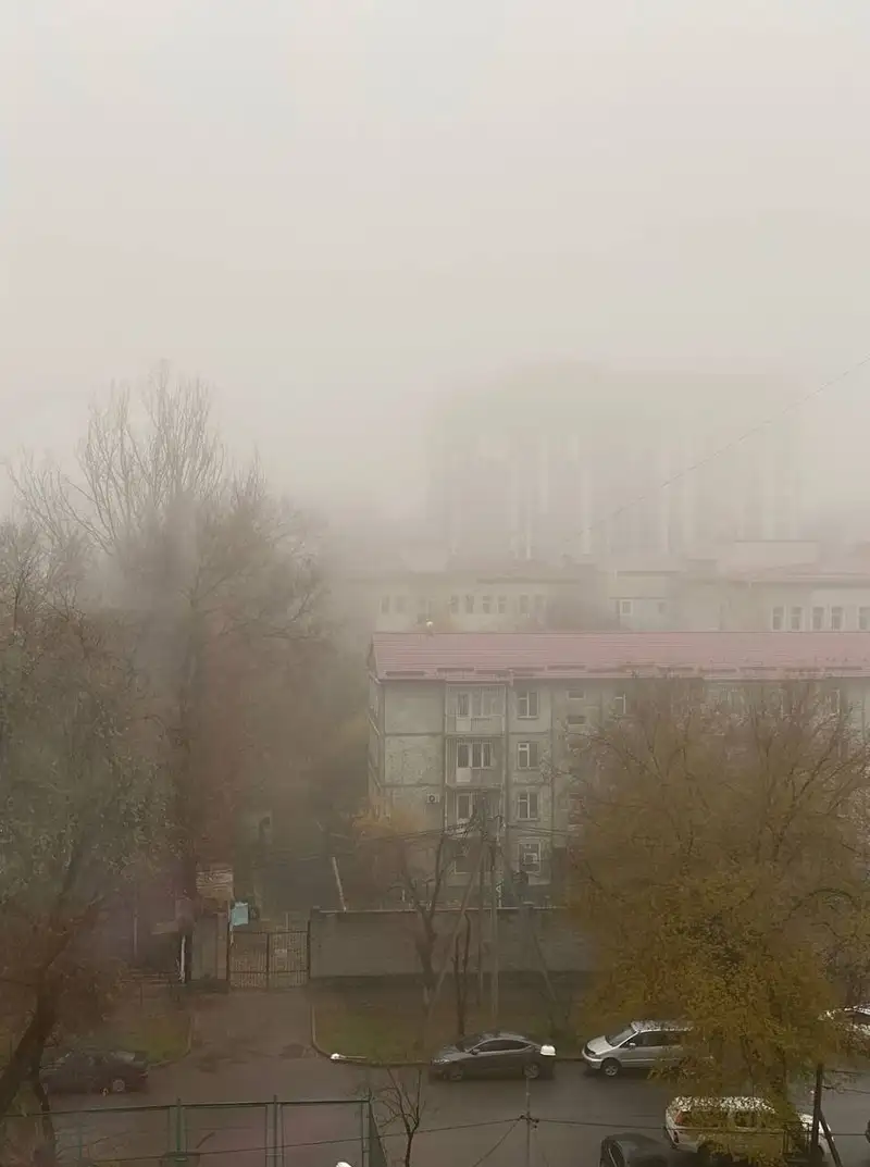 Алматы накрыл туман
