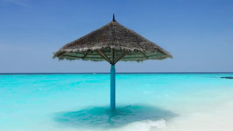 Блогер Илья Варламов о Мальдивах:  Гадят даже в раю 