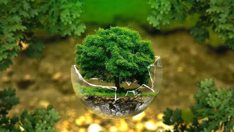 Казахстан назначит нового национального координатора по Глобальному экологическому фонду
