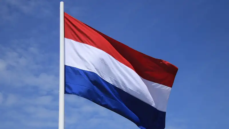Антиисламская партия лидирует на выборах в Нидерландах