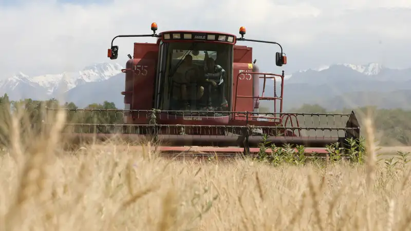 Более 31 млрд выделит правительство из резерва на поддержку аграриев