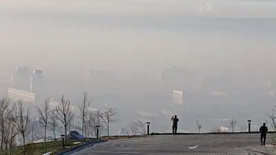 Повышенное загрязнение воздуха ожидается в мегаполисе 