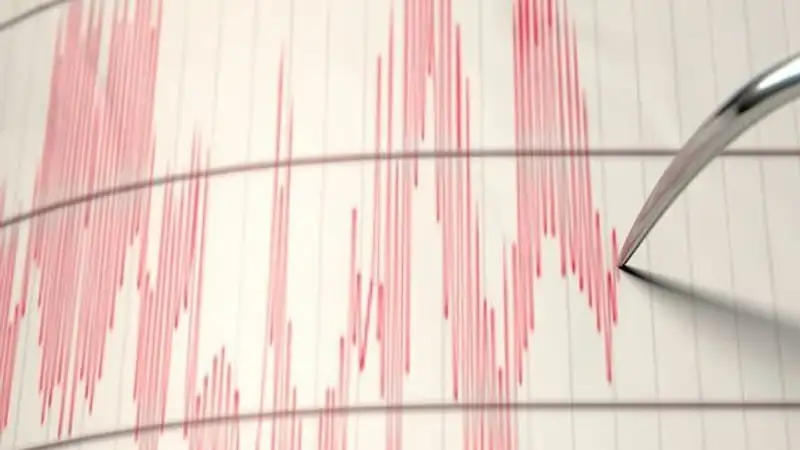 Землетрясение магнитудой 4,5 произошло в Иране