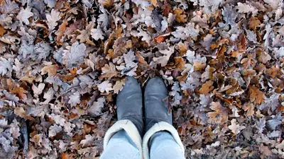 Похолодание, снег, дождь: теплая погода на юге Казахстана сменится обильными осадками