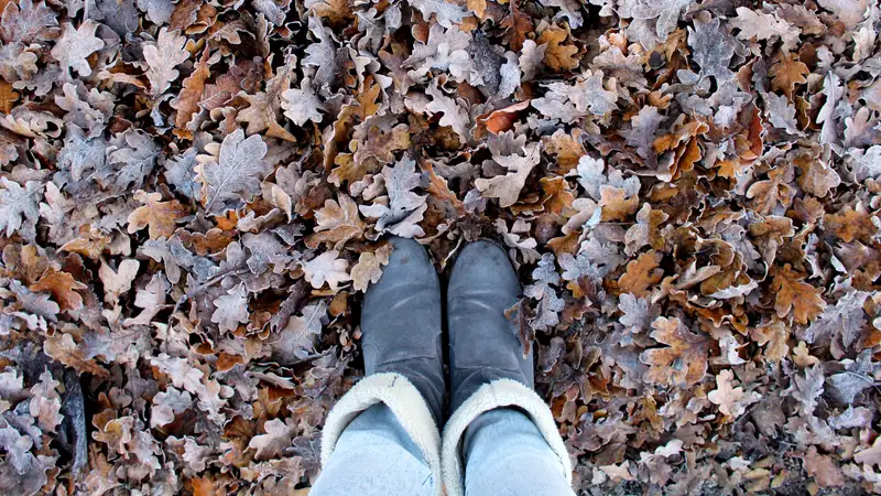 Похолодание, снег, дождь: теплая погода на юге Казахстана сменится обильными осадками