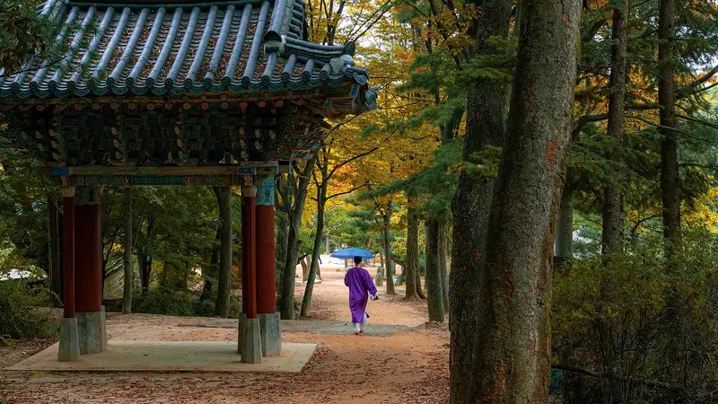 ИИ обзванивает одиноких пожилых жителей в Южной Корее для помощи