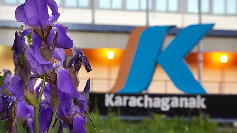 Еще одна крупная казахстанская компания резко сократила добычу нефти