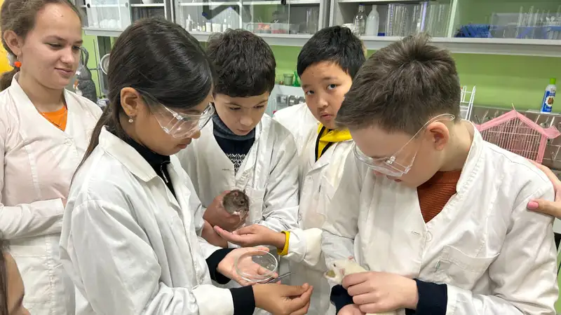 "Живая" биология, Маня, Тима и тропические теляпии, или чему не учат в школе