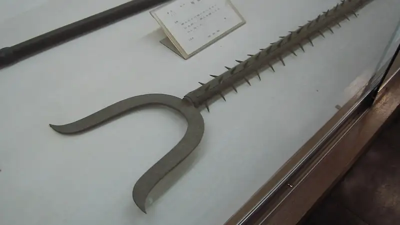 Владелец магазина в Японии отбился от грабителей самурайским оружием