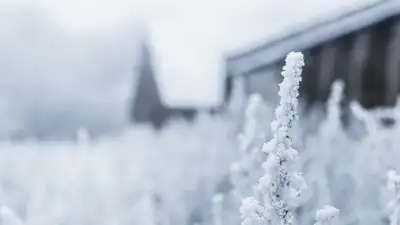 Зима по расписанию: морозы до минус 21 градуса придут в Казахстан 