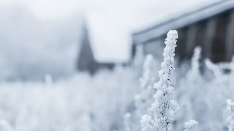Зима по расписанию: морозы до минус 21 градуса придут в Казахстан 