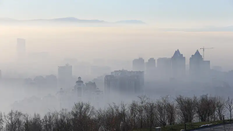 смог в Алматы, фото - Новости Zakon.kz от 03.12.2023 09:24