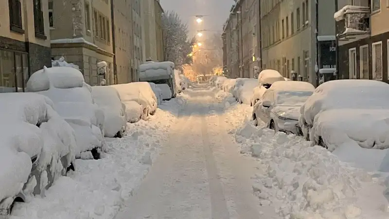 снег, фото - Новости Zakon.kz от 03.12.2023 16:03