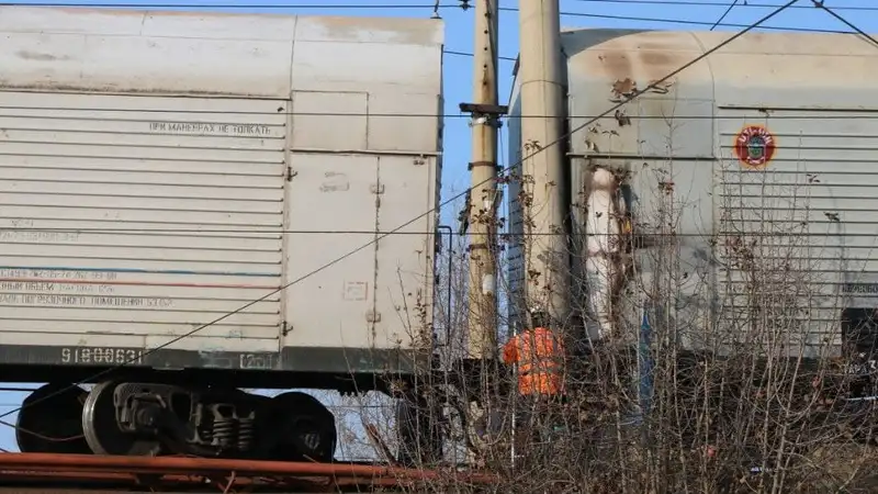 Семь лошадей попали под грузовой поезд в Акмолинской области 
