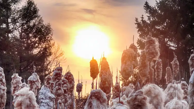 Где в Казахстане будет хорошая погода 6 декабря, рассказали синоптики , фото - Новости Zakon.kz от 05.12.2023 16:14