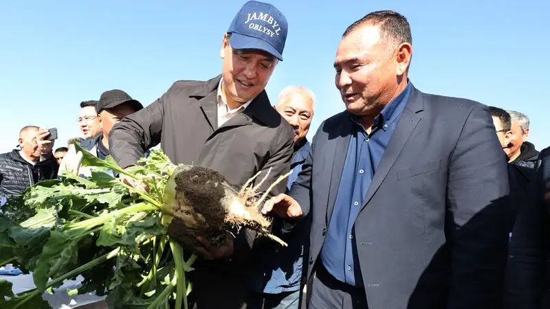 Казахстан Жамбылская область АПК развитие, фото - Новости Zakon.kz от 05.12.2023 15:33