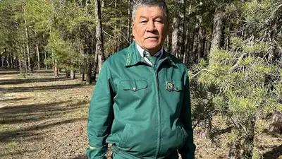 Более 40 лет в лесничем хозяйстве работает акмолинский потомственный лесник Кушпай Буканов