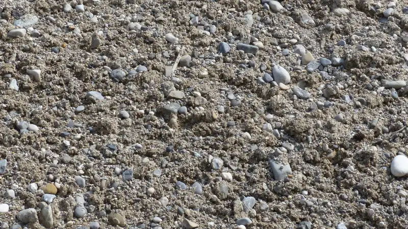 Аким Шымкента высказался о незаконных недропользователях