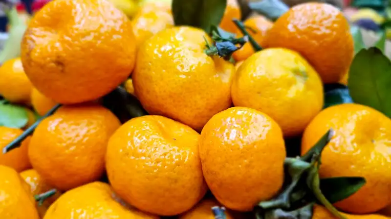 самые новогодние фрукты, как правильно есть мандарины, фото - Новости Zakon.kz от 08.12.2023 14:25
