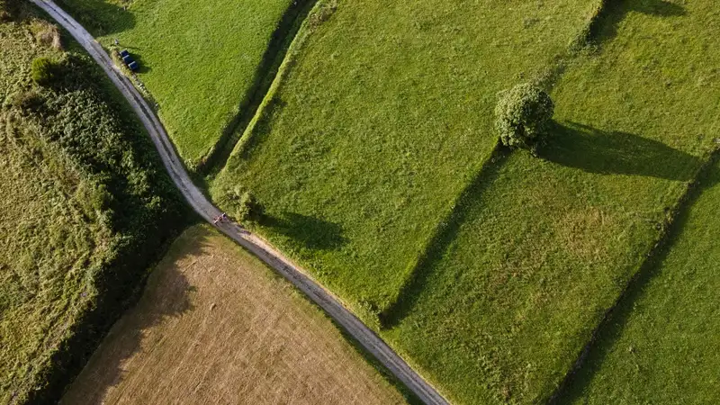 Участки на 253 млн тенге вернули государству в ЗКО