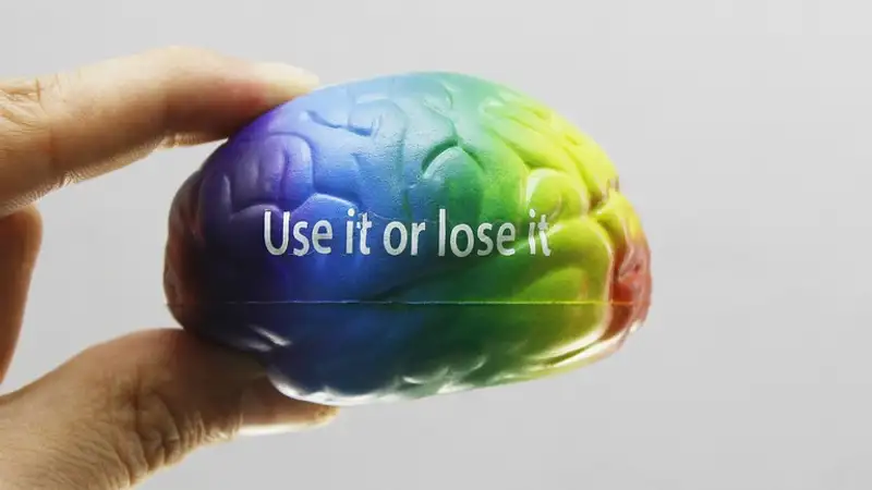 Здоровый мозг: какие продукты исключить из рациона , фото - Новости Zakon.kz от 09.12.2023 07:00
