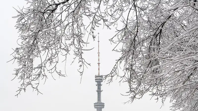 Первый снег в Алматы запечатлел известный фотограф