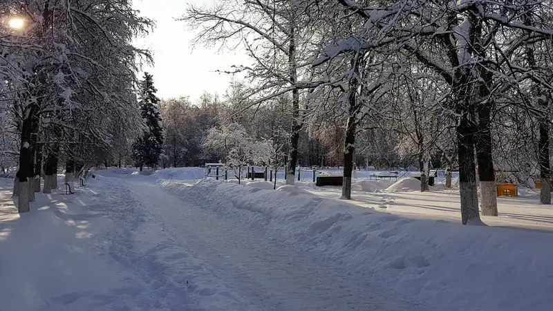 Арктический антициклон принесет в Казахстан морозы до - 44° C, фото - Новости Zakon.kz от 11.12.2023 11:33