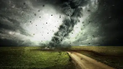 Разрушительный ураган в Ирландии сняли на видео, фото - Новости Zakon.kz от 11.12.2023 10:40
