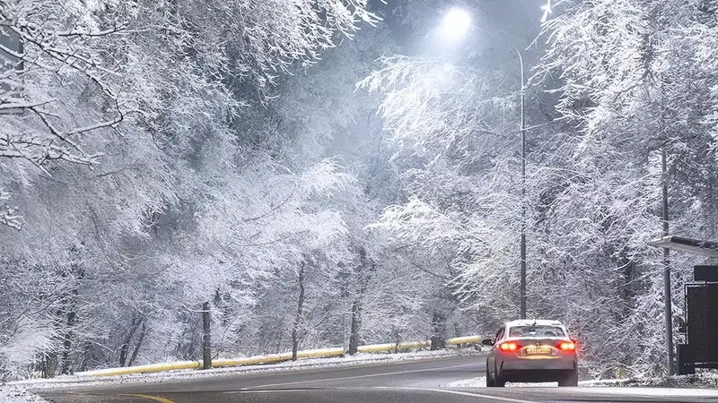 "Везет алматинцам": фотограф поделился кадрами заснеженных гор