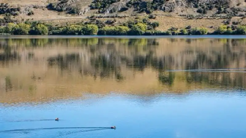 На четверть снизить объем закупаемой воды намерены в правительстве