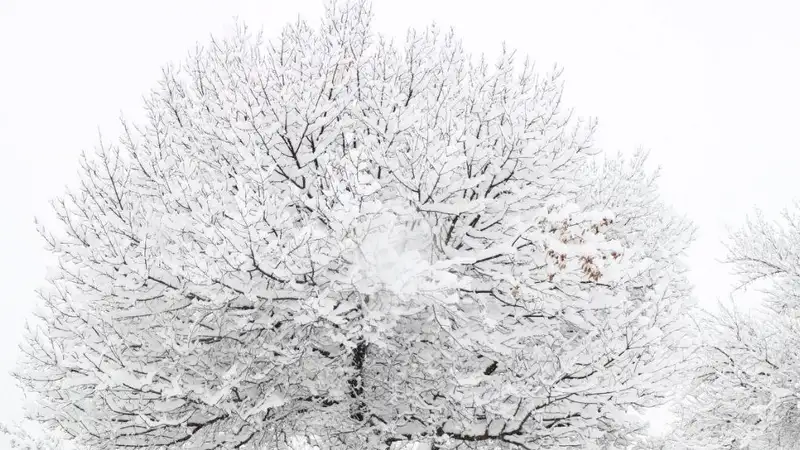 Алматы замело снегом: что происходит в городе , фото - Новости Zakon.kz от 12.12.2023 10:54