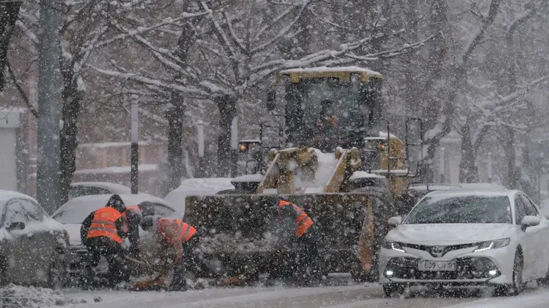 Коммунальные службы обратились к алматинцам из-за снегопада