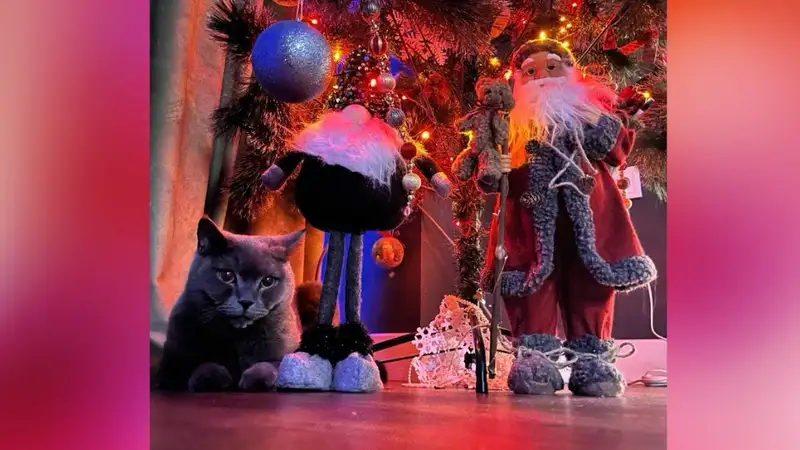Как украсить новогоднюю елку, если в доме есть кот, фото - Новости Zakon.kz от 13.12.2023 13:09