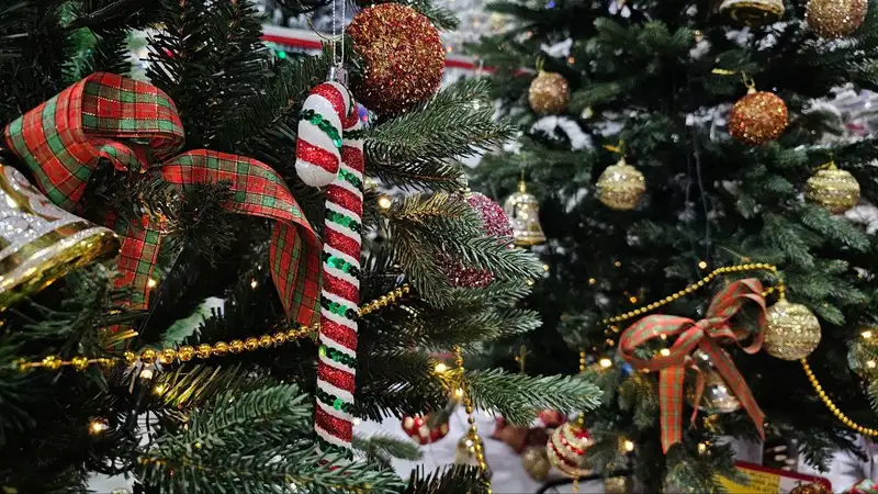 Где и за сколько можно купить елку в Алматы