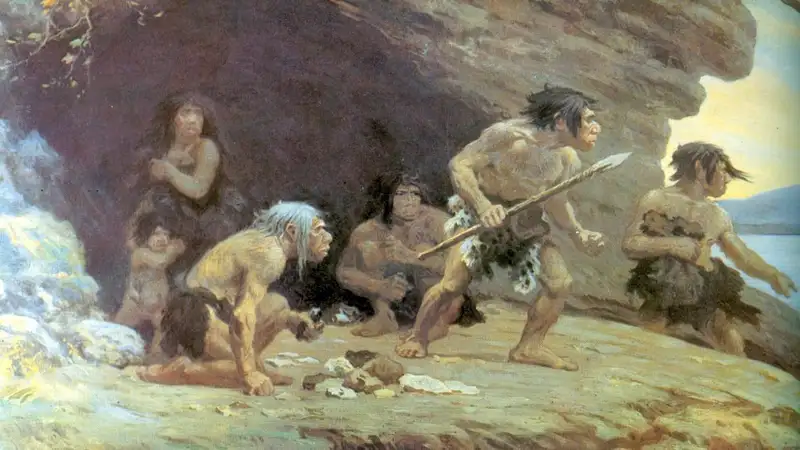 Ученые нашли связь между жаворонками и неандертальцами, фото - Новости Zakon.kz от 14.12.2023 14:48