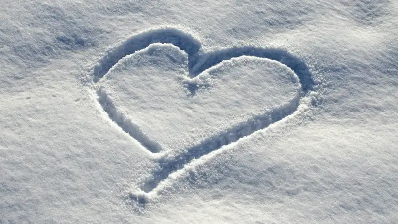 Автора снежных сердец нашли в Житикаре