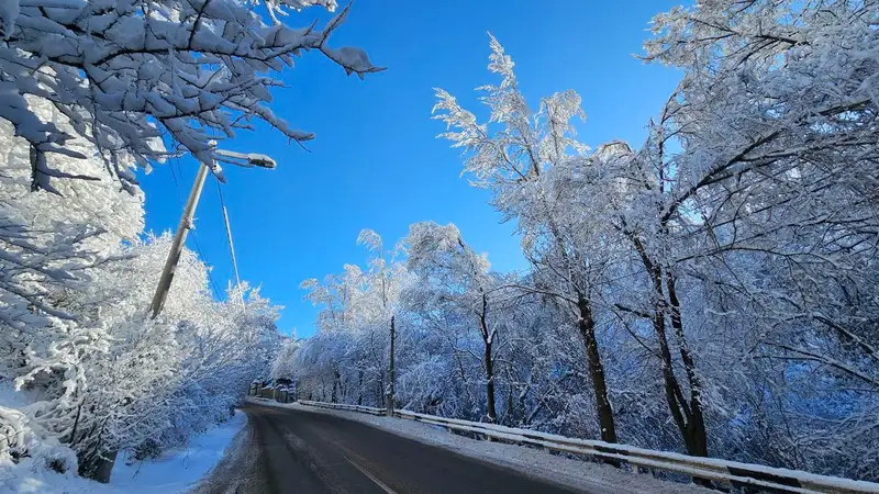 снег в Алматы