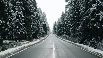 , фото - Новости Zakon.kz от 15.12.2023 23:53