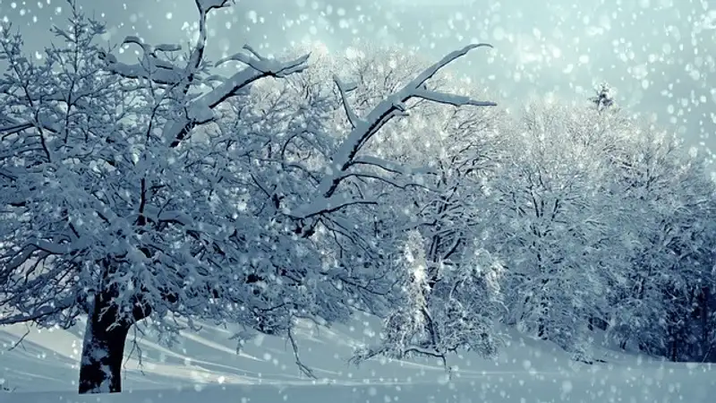 Снегопад, гололед и мороз ожидаются в восьми областях Казахстана