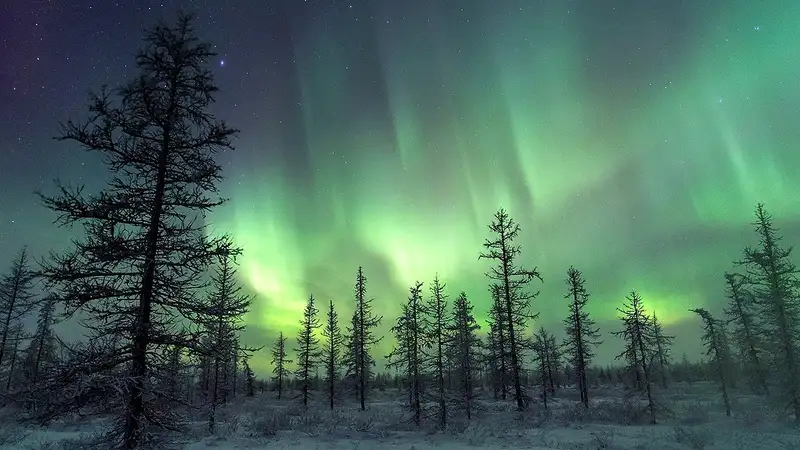 Охотники за северным сиянием активно делятся фото в Сети