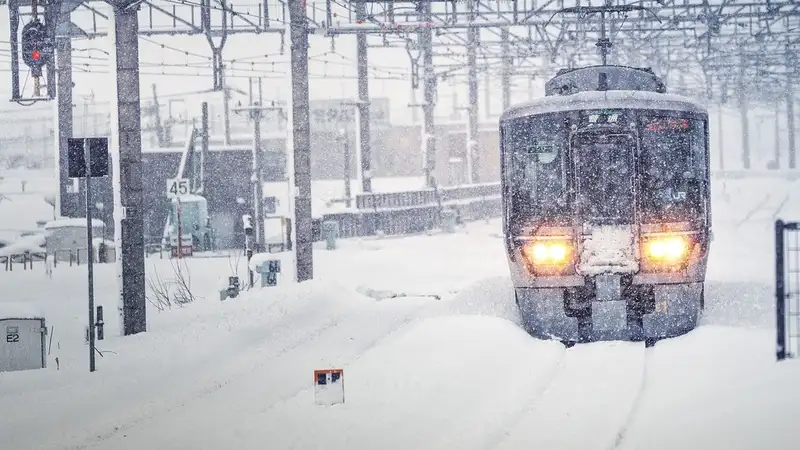 Почему задержали поезда в Жамбылской области, объяснил министр