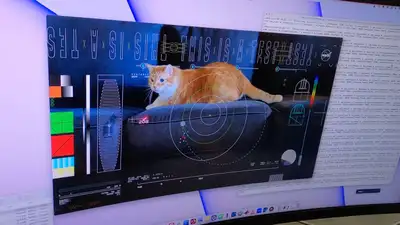 видео с котом из космоса, фото - Новости Zakon.kz от 20.12.2023 12:23