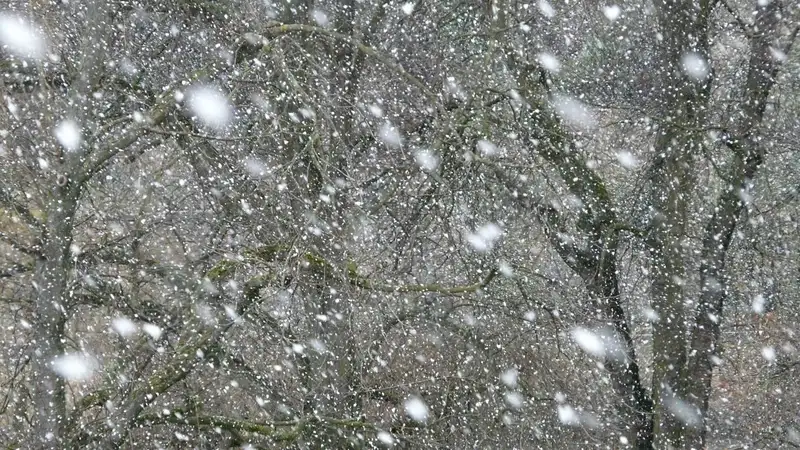 Сильный ветер сдул грузовик с дороги в Абайской области