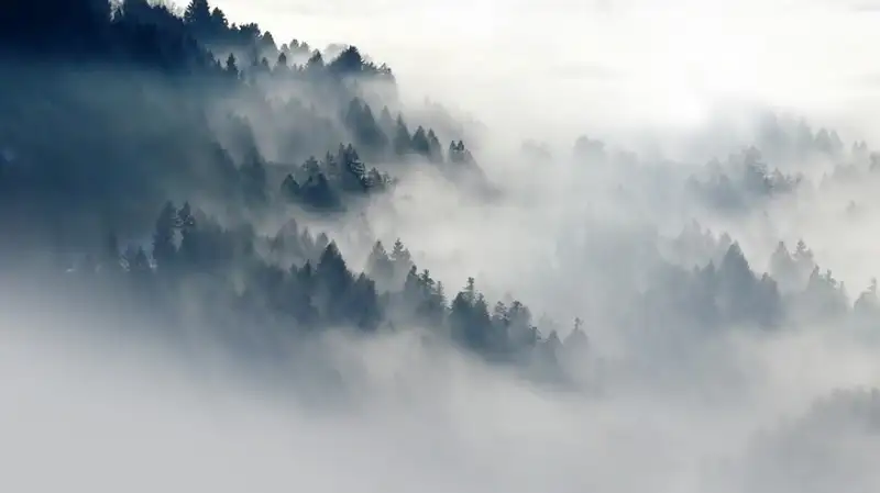 В Алматы и в Шымкенте синоптики прогнозируют неблагоприятные метеоусловия