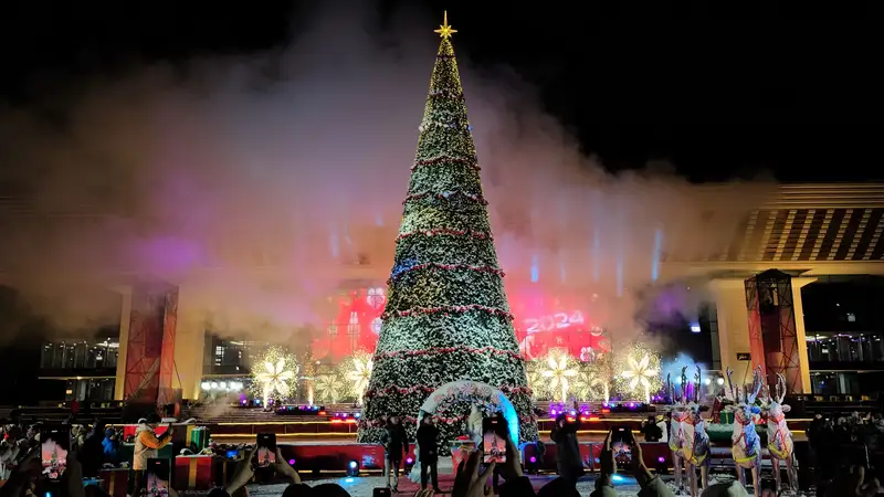 Главную новогоднюю елку зажгли в Алматы 