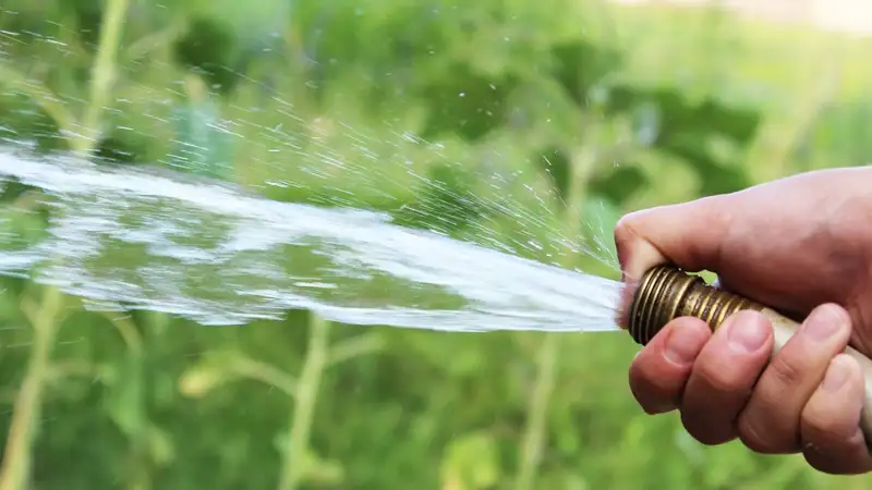 Сколько будут платить за поливную воду казахстанские аграрии в 2024 году