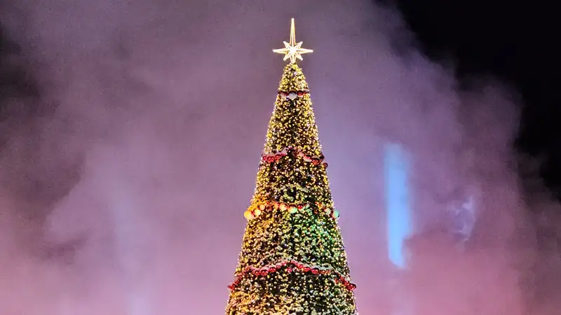 новогоднюю елку зажгли в Алматы , фото - Новости Zakon.kz от 20.12.2023 20:01