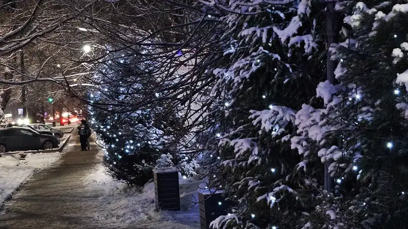 лампочки в городе Алматы, фото - Новости Zakon.kz от 22.12.2023 09:42